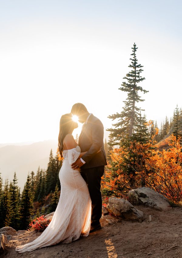 ELOPEMENT - MT RAINIER - WASHINGTON-1