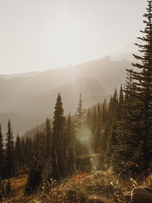 pnw-elopement-mt-rainier-wa-27