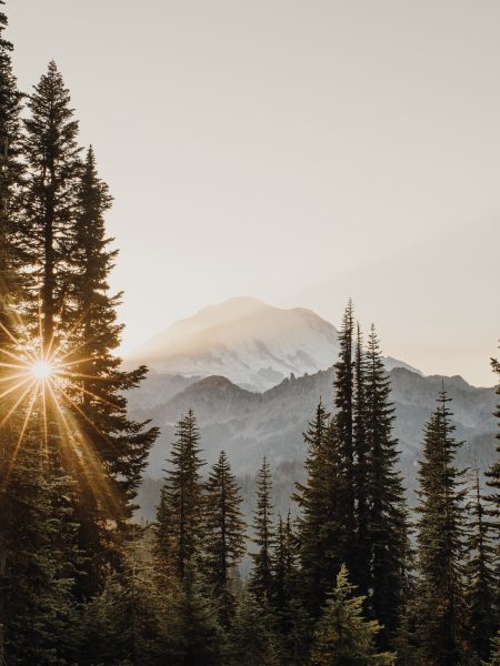 pnw-elopement-mt-rainier-wa-30